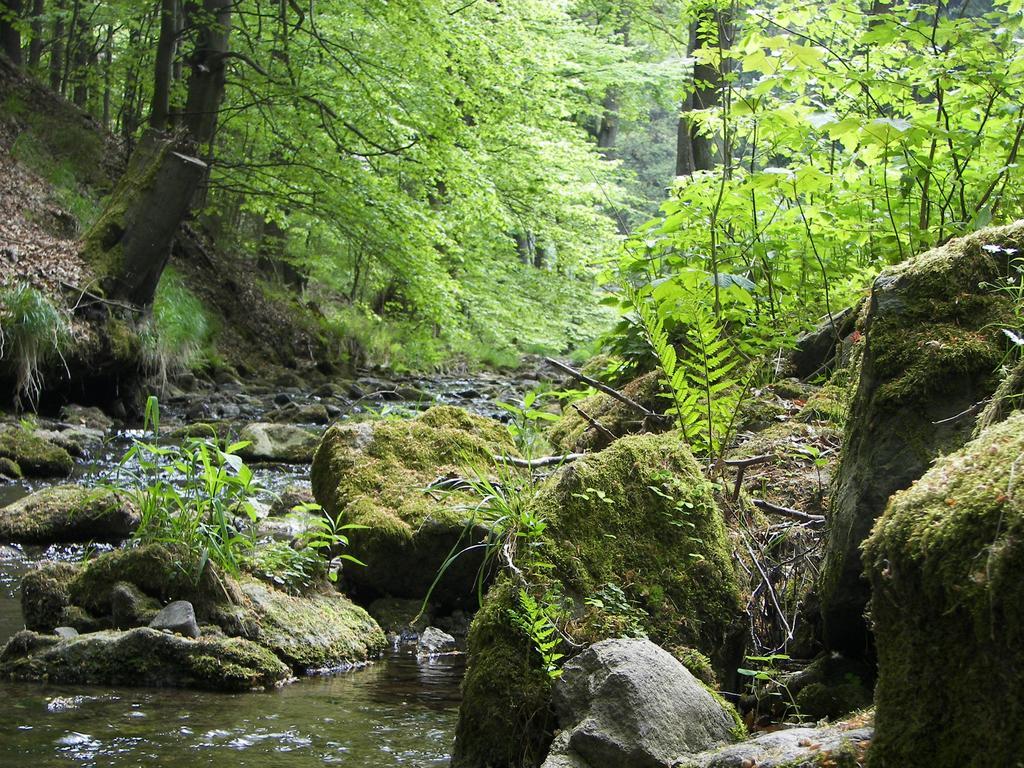 Hotel Zum Schneekopf "Garni" Gehlberg Kültér fotó