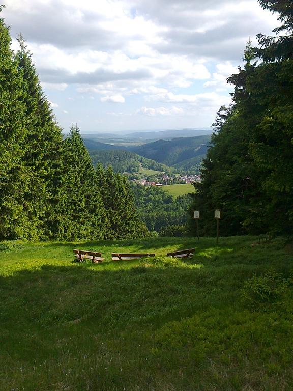 Hotel Zum Schneekopf "Garni" Gehlberg Kültér fotó