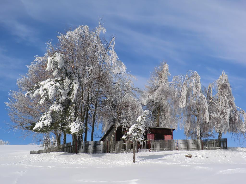 Hotel Zum Schneekopf "Garni" Gehlberg Kültér fotó