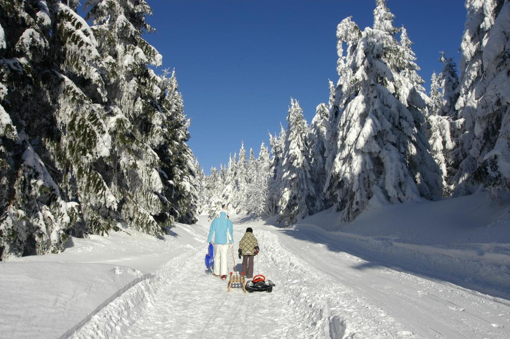 Hotel Zum Schneekopf "Garni" Gehlberg Kültér fotó